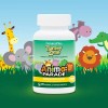 Naturesplus Animalparade Tummy Zyme Enzimas 90masticablessfn Sabor Frutas Tropicales