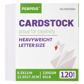 120 Sheets White Cardstock - 8.5” x 11” Letter Size Cover Card Stock 230gsm/85lb Heavyweight Paper Thick Paper for Scrapbooking, Crafts, Business Cards, Invitations PAP03WH