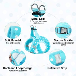 BEAUTYZOO Step in Dog Harness and Leash Set, Polka Dot Pattern Reflective Dog Harness No Pull No Choke Puppy Harness for XXS XS S Dogs Cats, Soft Padded Mesh Vest Harnesses for Girl and Boy Pets