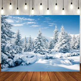 LTLYH 10x8ft Snowy Backdrop for Photography Winter Scene Backdrop Christmas backdrops Winter Landscape ForestIce Snow World Backdrop 106