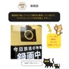 Donperi Sticker Shop Donperi B0038 Car Funny Magnetic Sticker Reflective