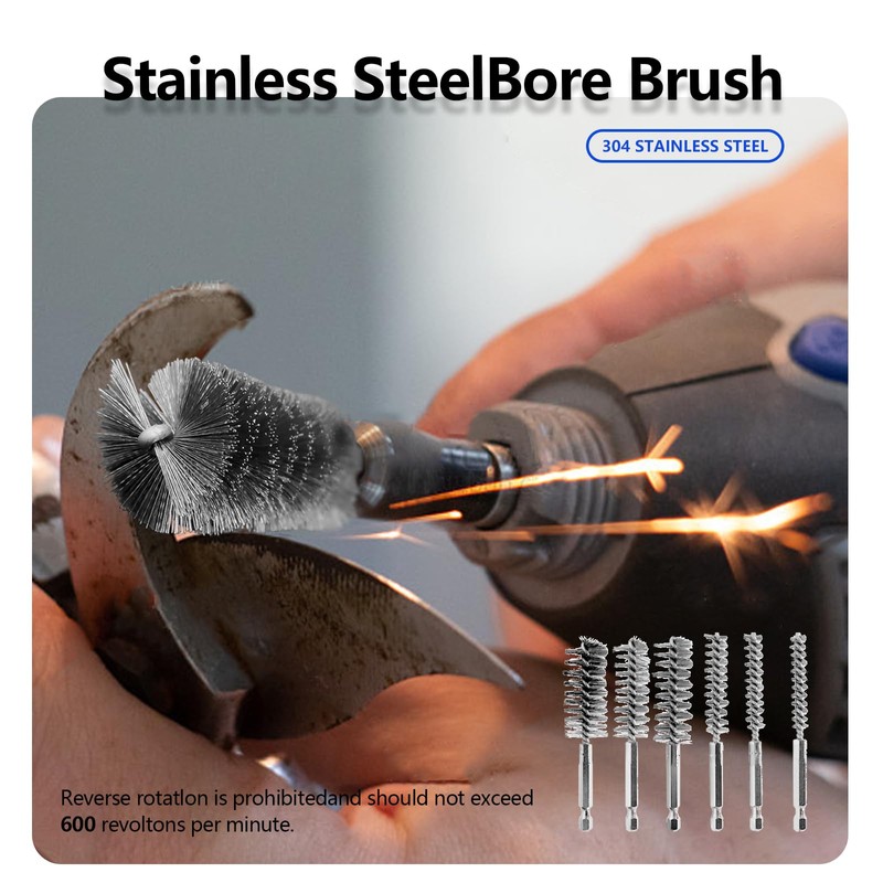 12Pcs Stainless Steel Bore Brush Set with 1/4" Hex Shank