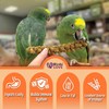 Birds LOVE Wholesome & Lovely Spray Millet Non-GMO for Birds