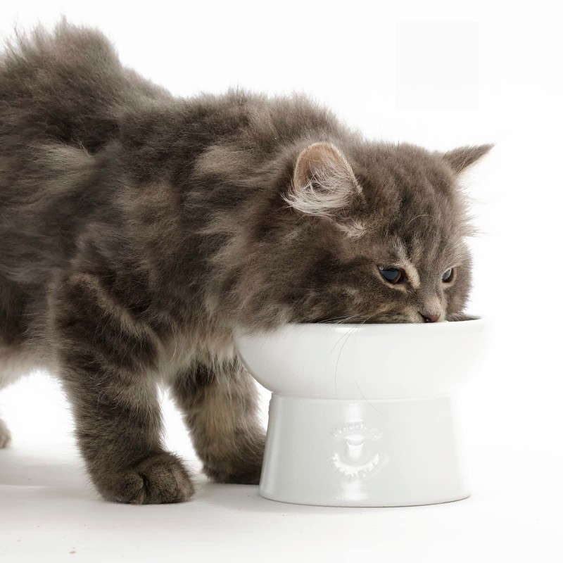 Neko-ichi Food Bowl with Legs for Cats, Mino Ware, Made