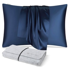 DISANGNI 100% Natural Mulberry Silk Pillow Case for Hair and Skin with Hidden Zipper 22 Momme Both Sides Real Silk Pillow Case (1pc Queen Size 20" x30", Blue)