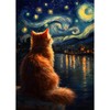 Jawecci Diamond Painting Adults, 5D Kitty Diamond Painting Pictures Adults Beginners, DIY Round Stones Starry Sky Diamond Art Set Diamond Painting Children for Home Decor 30 x 40 cm