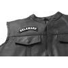 Delaware Patch - 4x1.75 inch. Embroidered Iron on Patch (P1435)