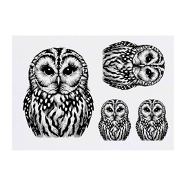 Azeeda 4 x 'Waldkauz' Temporäre Tattoos - Wasserfest, Hautfreundlich & Ungiftig · Transfers in Verschiedenen Größen (TO00080232)