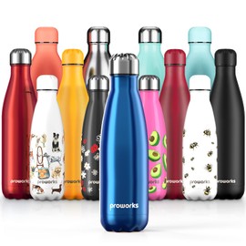 Proworks Performance Stainless Steel Sports Water Bottle | Double Insulated Vacuum Flask for 12 Hours Hot & 24 Hours Cold Drinks - Great for Home, Work, Gym & Travel - 500ml - BPA Free – Metallic Blue