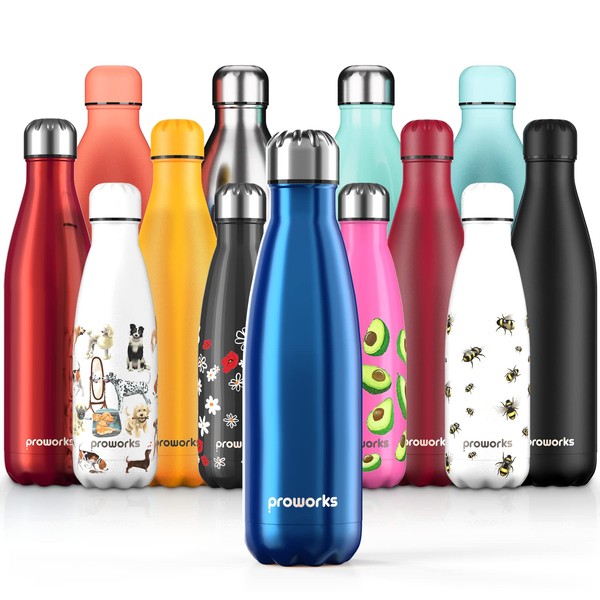 Proworks Performance Stainless Steel Sports Water Bottle | Double Insulated Vacuum Flask
