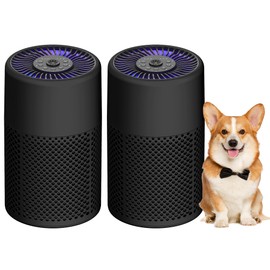 2 Pack Air Purifiers for Bedroom Home, True HEPA Filter for Smoke, Black