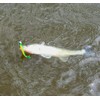 Major Fish Zander leader fluorocarbon fishing line, 0.30 mm, 4