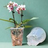 Clear Plastic Orchid Pot – 4" or 5" Diameter Air