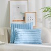 DEELAND Pack of 2,Double-Sided Faux Fur Plush Decorative Throw Pillow