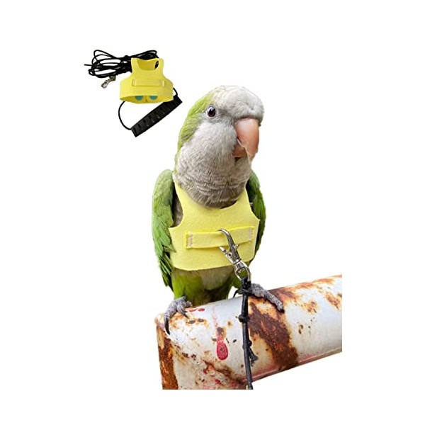 HEZHUO Bird Flight Harness Vest, Parrot Suit with Leash for
