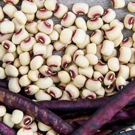 MySeeds.Co Top Pick Cream Pea, Cowpea (Vigna Unguiculata) Vegetable Seeds, Creamy and Mild - 1/4 LB (~ 480 Seeds)