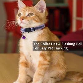 8 Piece Reflective Cat Collar Pack with Bell,kitten collar Safety Quick Release Buckle,with Name Tag,Adjustable for Girl Male Cats,Pet Supplies,Stuff,Accessories(8 Colors)