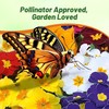 Outsidepride Danova Grower Mix Common Primrose Seeds - 50 Pcs