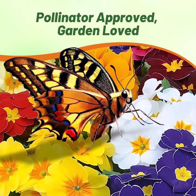 Outsidepride Danova Grower Mix Common Primrose Seeds - 50 Pcs