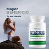 Citrato Magnesio 100 Capsulas 500 Mg - Suplemento Alimenticio -Natural