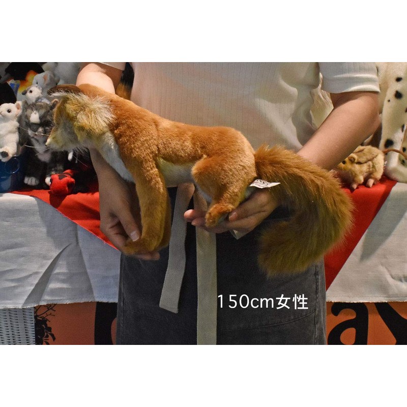 Hansa Acorn Fox 30 No. 6098