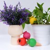 IRRVIN Automatic Watering Equipment, Plants, Automatic Watering, Potted Plants, Set