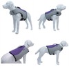 Dog Life Jacket, Sport Style Dog Float Coat with Excellent