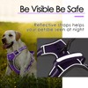 ThinkPet No Pull Harness Breathable Sport Harness with Handle-Dog Harnesses