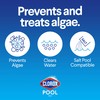 Clorox® Pool&Spa™ Swimming Pool Algaecide and Clarifier, Prevents and Treats