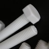10 x White Hexagon Head Screws Polypropylene (PP) Plastic Nuts,