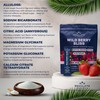 Regulate – Wild Berry Bliss Electrolyte Drink Mix | 30