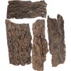 Cork Bark Background,4 PCS Reptile Natural Bark Cork Wood Bark