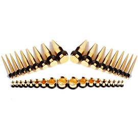 TBOSEN 14G-00G 36 pcs Ear Tapers Stretching Kit Stainless Steel Gold Plugs Set Eyelets