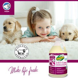 OdoBan Professional Series Cleaning 3-in-1 Carpet Cleaner Concentrate, Set of 2, 1 Gallon Each