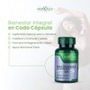 Niacinamida - Resveratrol - Omega 3 - Nicotinamida en Cpsulas
