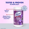 Lysol Disinfectant Wipes, Multi-Surface Antibacterial Wipes For Disinfecting, Dorm Room