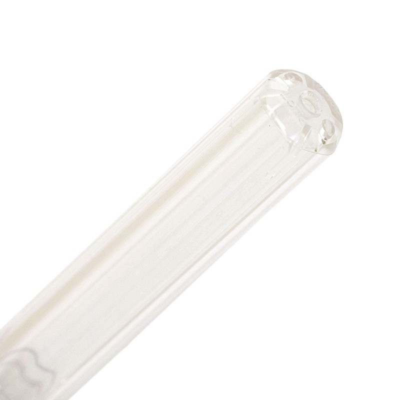 Kakuno Fountain Pen, Clear Stem, Extra Fine Point