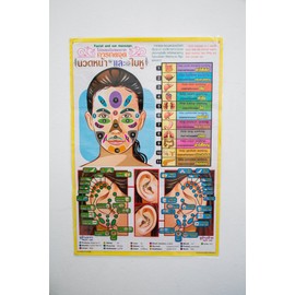WitnyStore 31½" Thai Facial and Ear Massage Reflexology Points Poster Manual Therapy Technique Colored Illustrations Training Teaching Reference Laminated Premium Paper Print Thailand Souvenir Posters