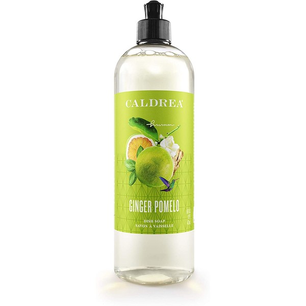 Caldrea Dish Soap, Biodegradable Dishwashing Liquid made with Soap Bark and Aloe Vera, Ginger Pomelo Scent, 16 oz (Packaging May Vary)