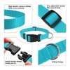 Collar de Cuello para Perro, Ajustable, Grande, Mediano, Pequeño, Diferentes