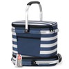ALLCAMP Picnic Basket - Insulated Cooler, Thickening Foldable Picnic Basket
