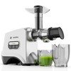 Eurolox Slow Masticating Juicer – Cold Press Machine for High-Yield