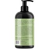 Mielle Rosemary Mint Strengthening Conditioner 12 oz