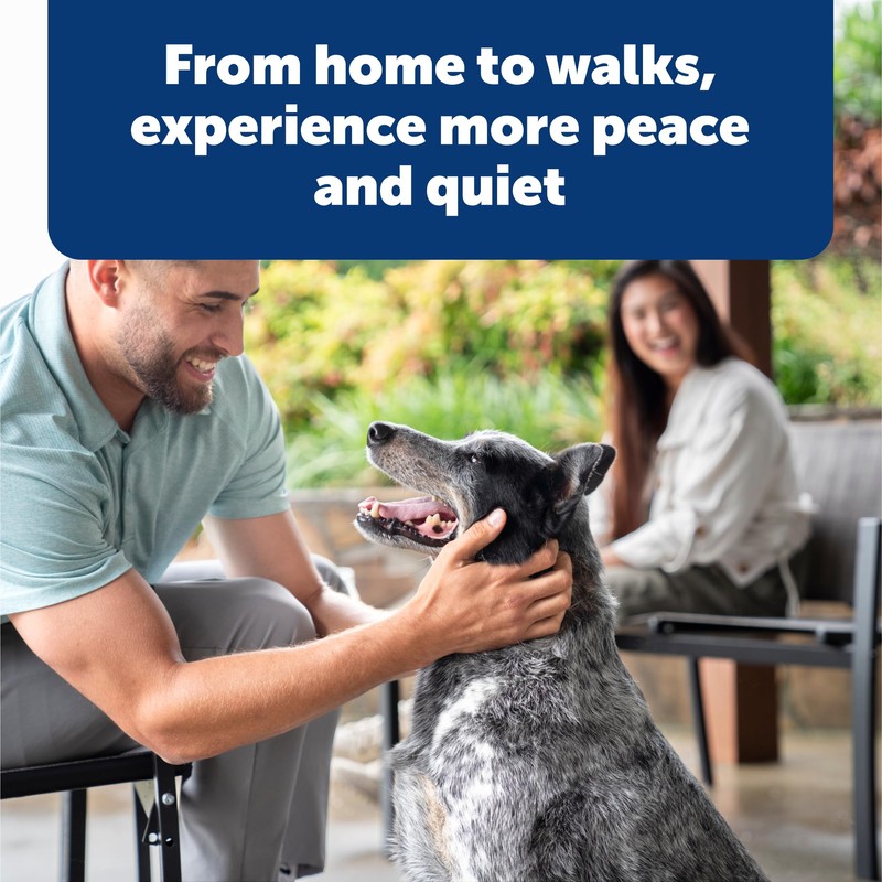 PetSafe Remote Trainer USB Adaptor - Replacement Charging Cable for