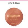 Bourjois Little Round Pot Blusher 32 Ambre D'or, 2.5g