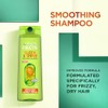 Garnier Fructis Sleek & Shine Shampoo, Conditioner + Moroccan Sleek