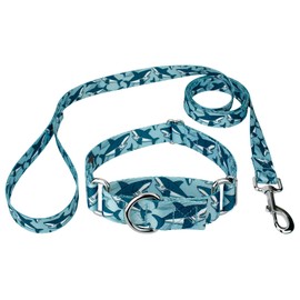 Country Brook Petz - Sharks Martingale Dog Collar and Leash - Critter Corner Collection Featuring Creature Themed Designs (1 Inch, Medium)