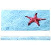 Background Poster Decorative Painting PVC Sticker Landscape Image for Aquarium
