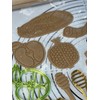 Premium Quality Set of 7 Rosh Ha-Shanah Cookie Cutters &