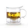 VAHDAM, Imperial Tea Maker - 16oz, Bottom Dispensing Tea Pot